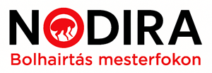 Nodira – Bolhairtás mesterfokon Logo