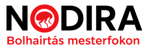 Nodira – Bolhairtás mesterfokon Logo